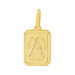 Pingente Aço NSra. Aparecida 15x11mm Gold IPG